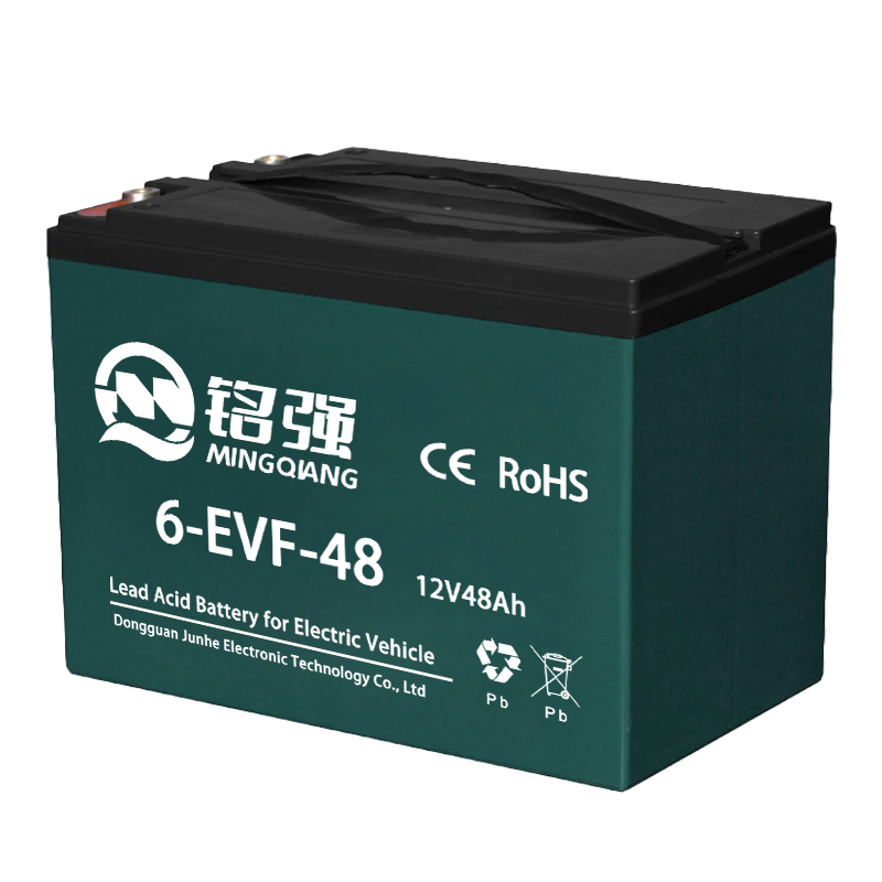 6-EVF-48 电动车电池