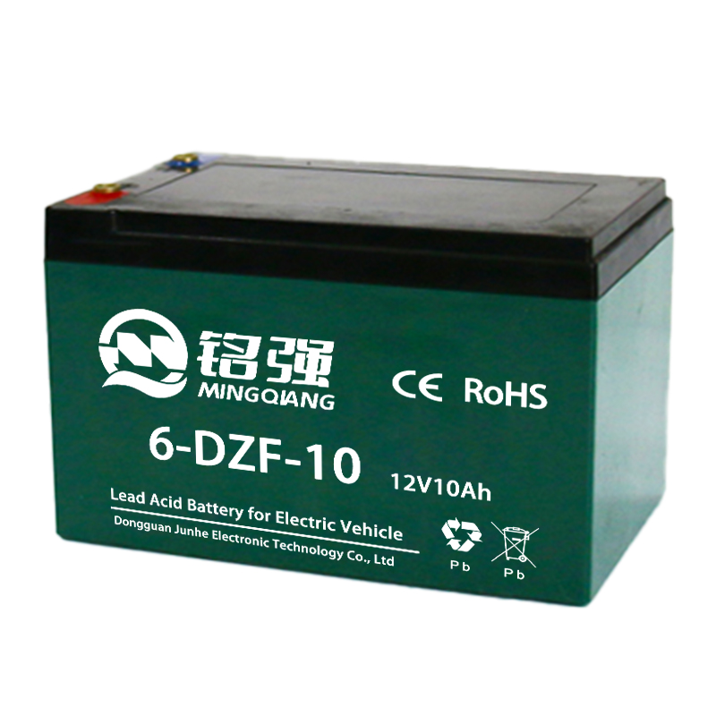 6-DZF-10 电动车电池
