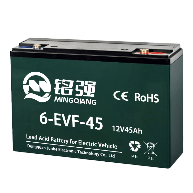 6-EVF-45 电动车电池